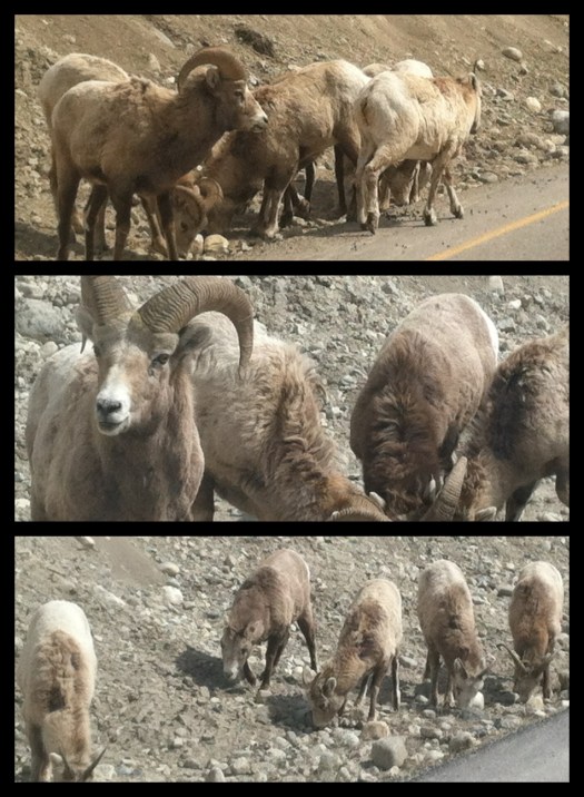 2013-05-03-13.59.331